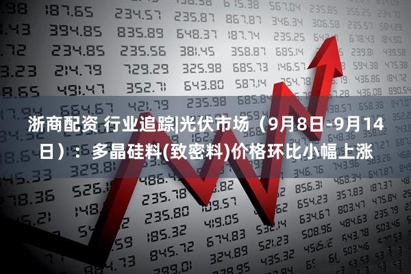 浙商配资 行业追踪|光伏市场（9月8日-9月14日）：多晶硅料(致密料)价格环比小幅上涨