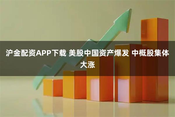 沪金配资APP下载 美股中国资产爆发 中概股集体大涨