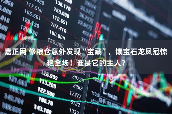 嘉正网 修粮仓意外发现“宝藏”，镶宝石龙凤冠惊艳全场！谁是它的主人？