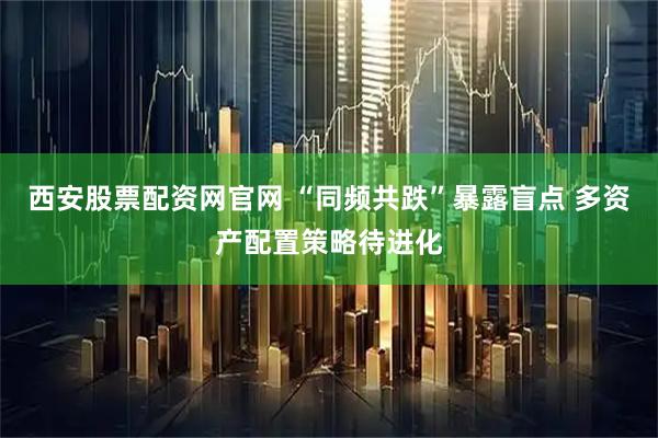西安股票配资网官网 “同频共跌”暴露盲点 多资产配置策略待进化